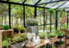 Idealna szklarnia ogrodowa, czyli jaka? Zobacz, jaka konstrukcja sprawdzi się najlepiej!