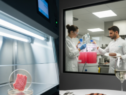 Mięso hodowane komórkowo – Kiedy laboratoryjne steki B2B trafią do polskich restauracji?