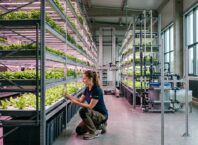 Vertical Farming w Polsce – Dlaczego pionowe farmy są odporne na ceny ropy?