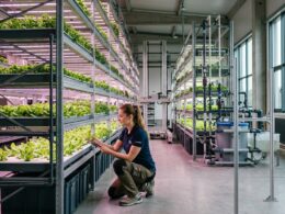Vertical Farming w Polsce – Dlaczego pionowe farmy są odporne na ceny ropy?